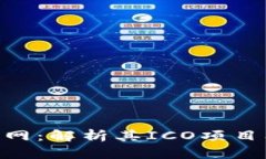 TokenIM官网：解析其ICO项目